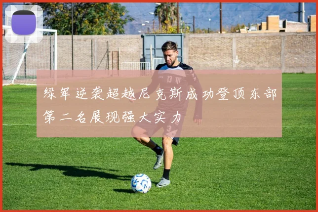 绿军逆袭超越尼克斯成功登顶东部第二名展现强大实力